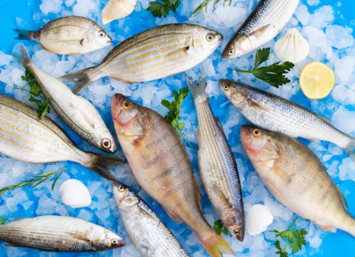 5 Ikan Ti⁠nggi Merkuri yang Wajib⁠ Kamu Waspadai Demi Kesehatan Otak dan Sistem Saraf